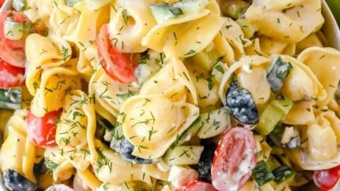 Creamy Greek Tortellini Pasta Salad Recipe