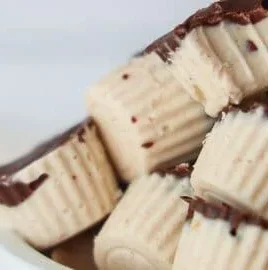 Delicious dairy-free easy frozen yogurt bites ready to enjoy