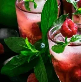 Homemade fermented berry soda served in a glass with fresh berries.