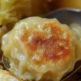 Plate of delicious German cabbage dumplings served with sauce